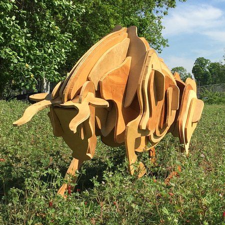 Black Diamond Backyard